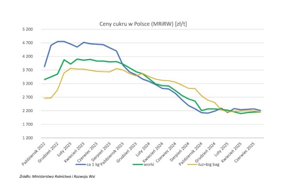 Raport cen cukru nr 6/2025