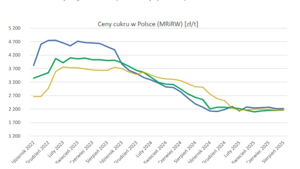 Raport cen cukru nr 7/2025