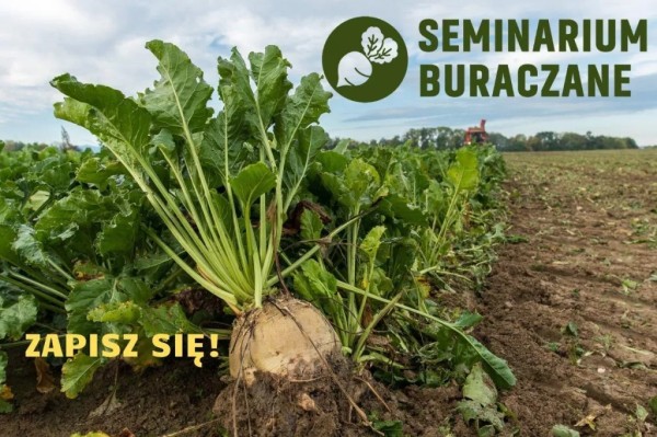 Zaproszenie na webinarium pt. „Wybrane zagadnienia integrowanej ochrony buraka cukrowego"